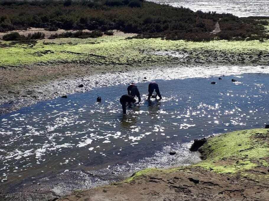 Ria Formosa Pineview Villa Faro Eksteriør billede