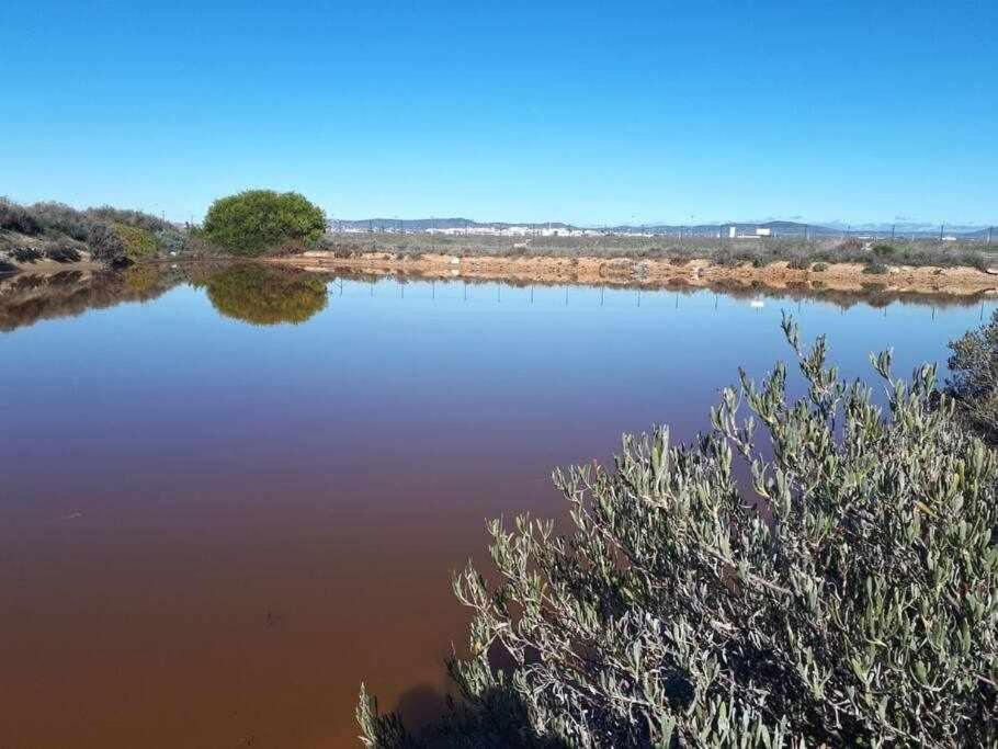 Ria Formosa Pineview Villa Faro Eksteriør billede