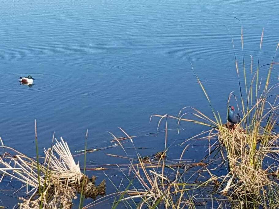 Ria Formosa Pineview Villa Faro Eksteriør billede